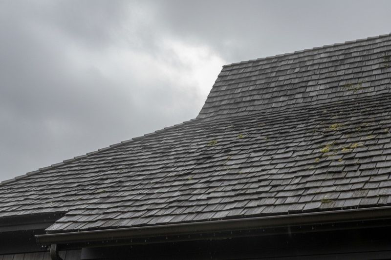Cedar Shingles Replacement in Covington, KY
