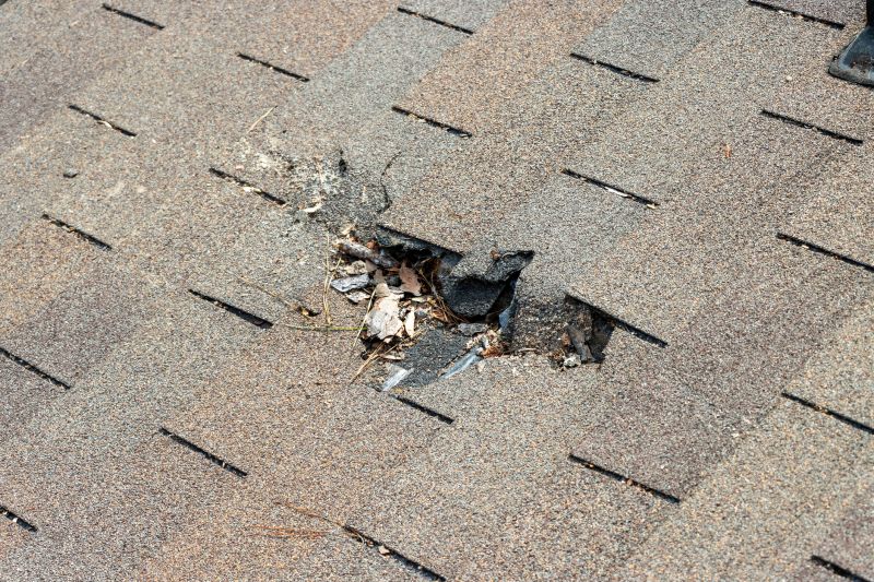 Roof Shingles Replacement in Spring Valley, OH