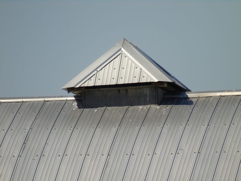 Tin Roof Installation in Covington, KY