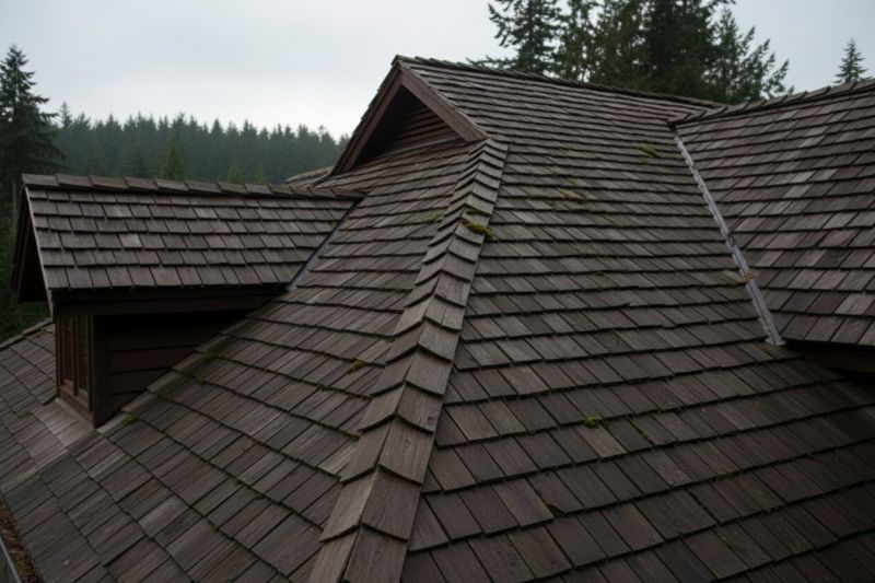 Wood Shake Roof Replacement in West Elkton, OH